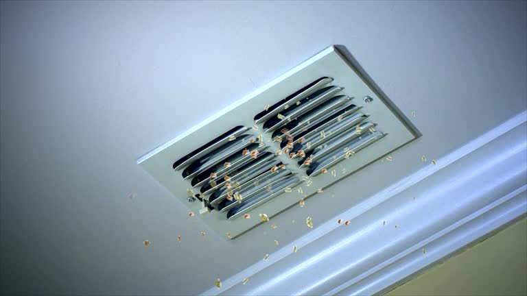 Best Best Air Duct Cleaning Company  in Hudson, MI